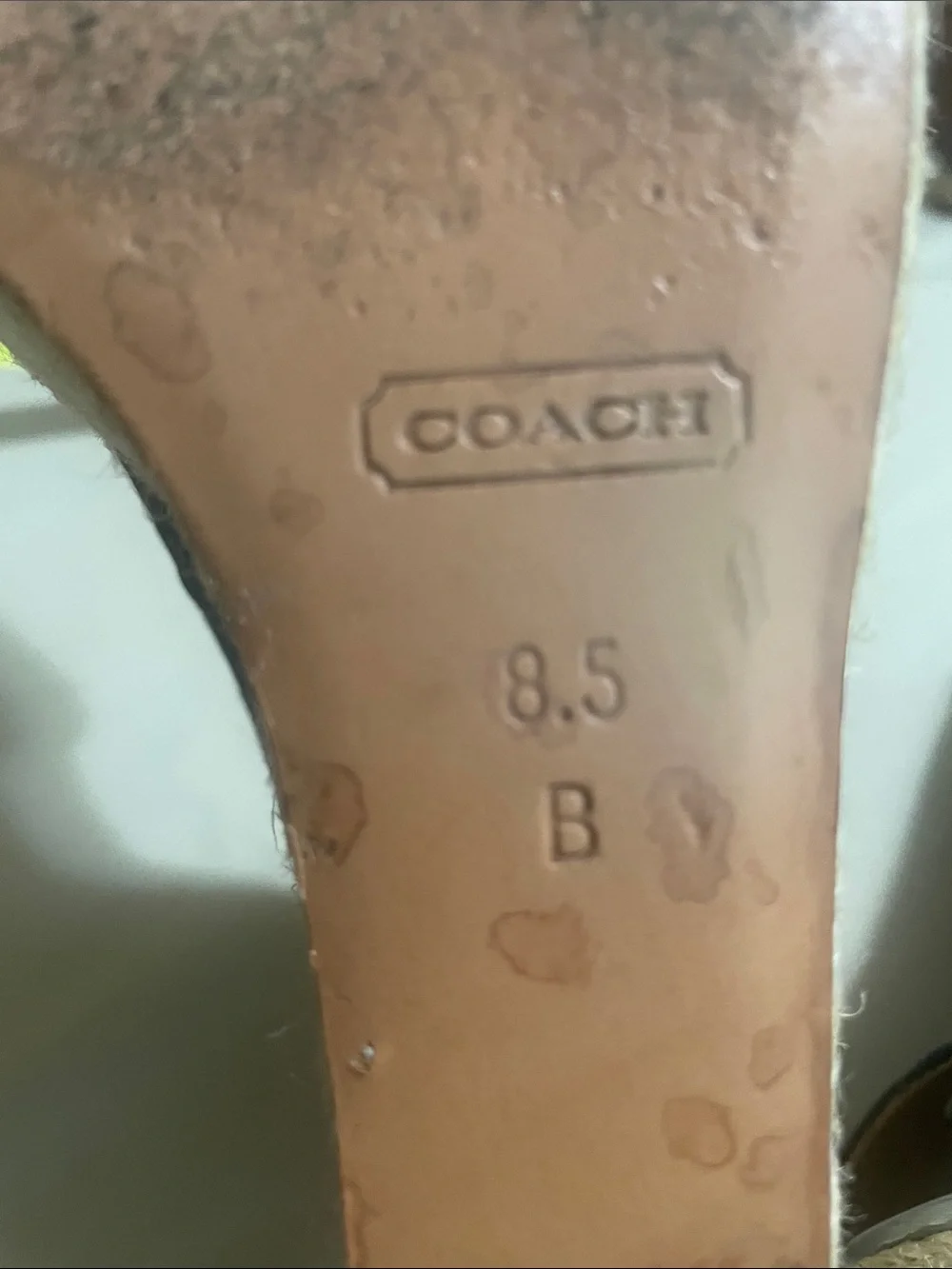 Coach silhouette looks upper